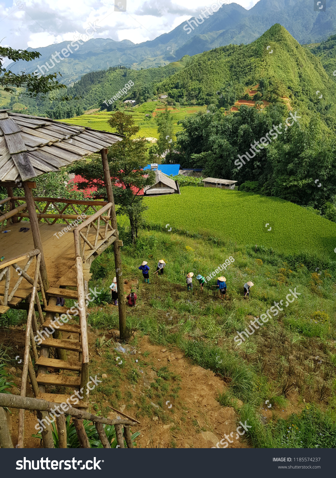 agriculture on the hill at Sapa vietnam #1185574237
