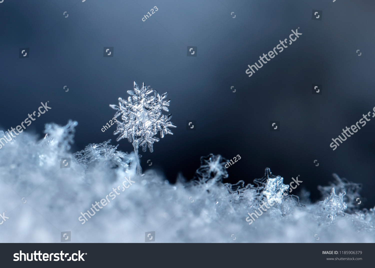 snowflake, little snowflake on the snow #1185906379