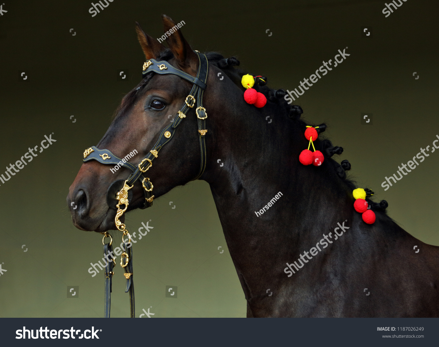 Andalusian horse in dark stable #1187026249