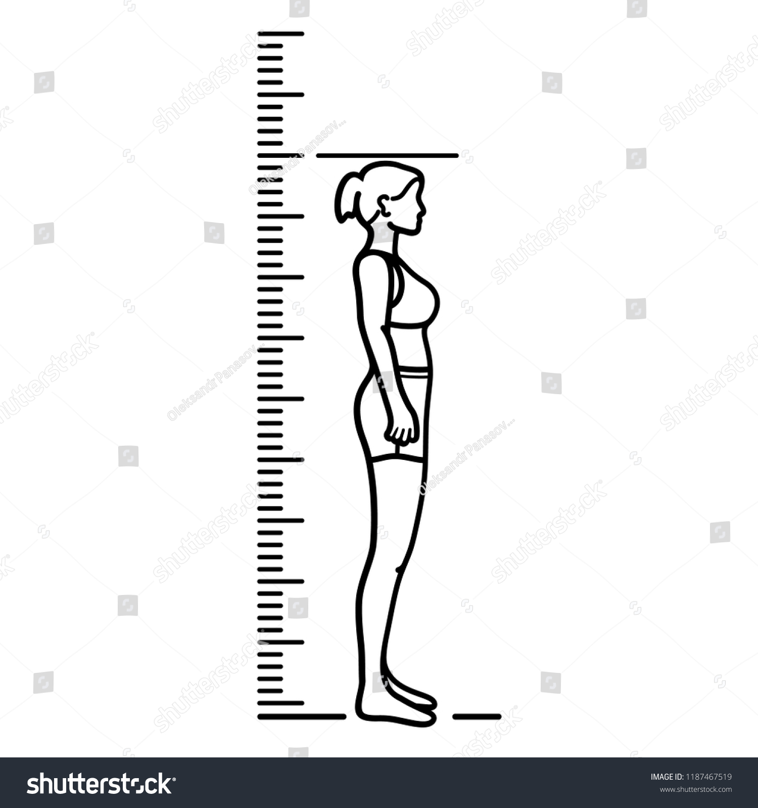 Woman and Height chart. Growth Chart Ruler. - Royalty Free Stock Vector