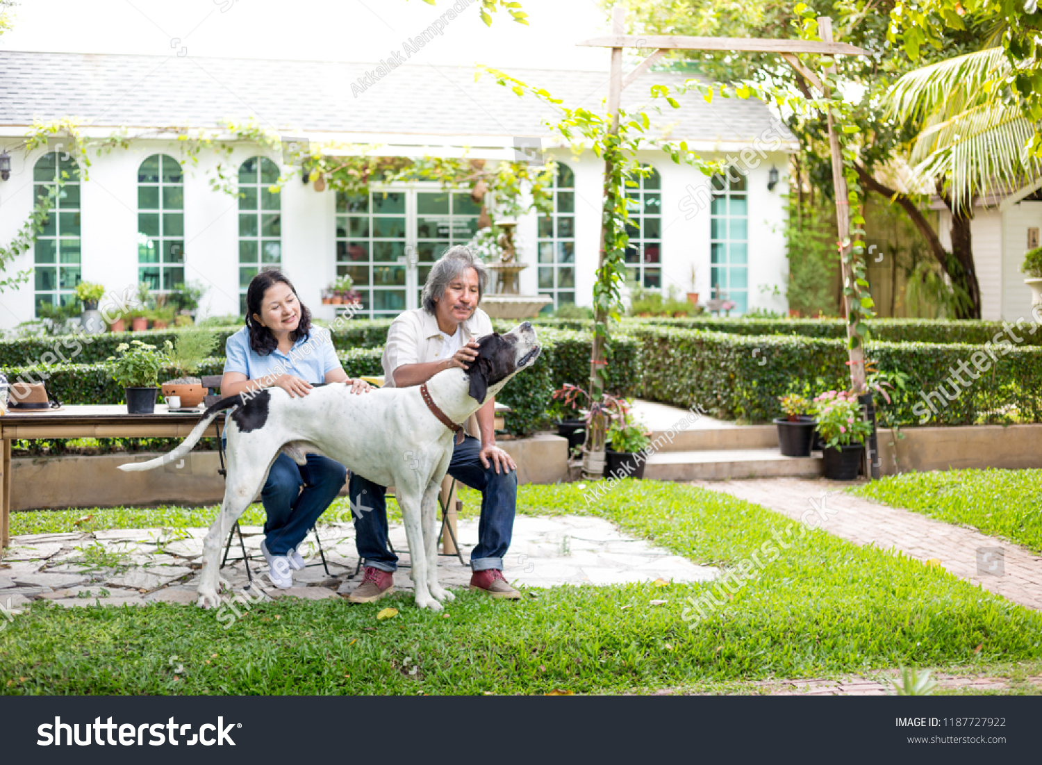 asian senior man and asian senior woman relax with dog in garden, they smiling and feeling happy , retirement lifestyle #1187727922