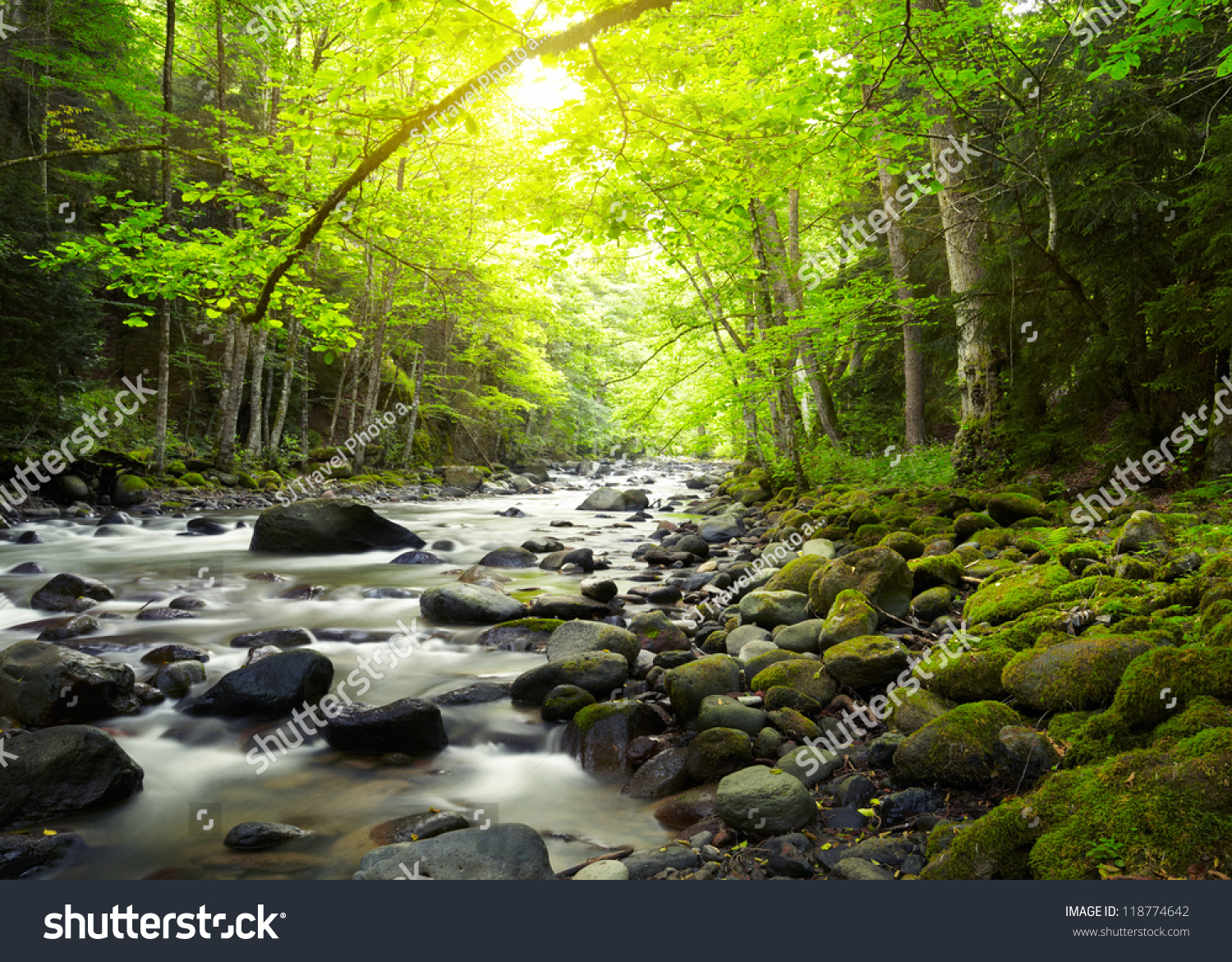 Mountain River in the wood #118774642