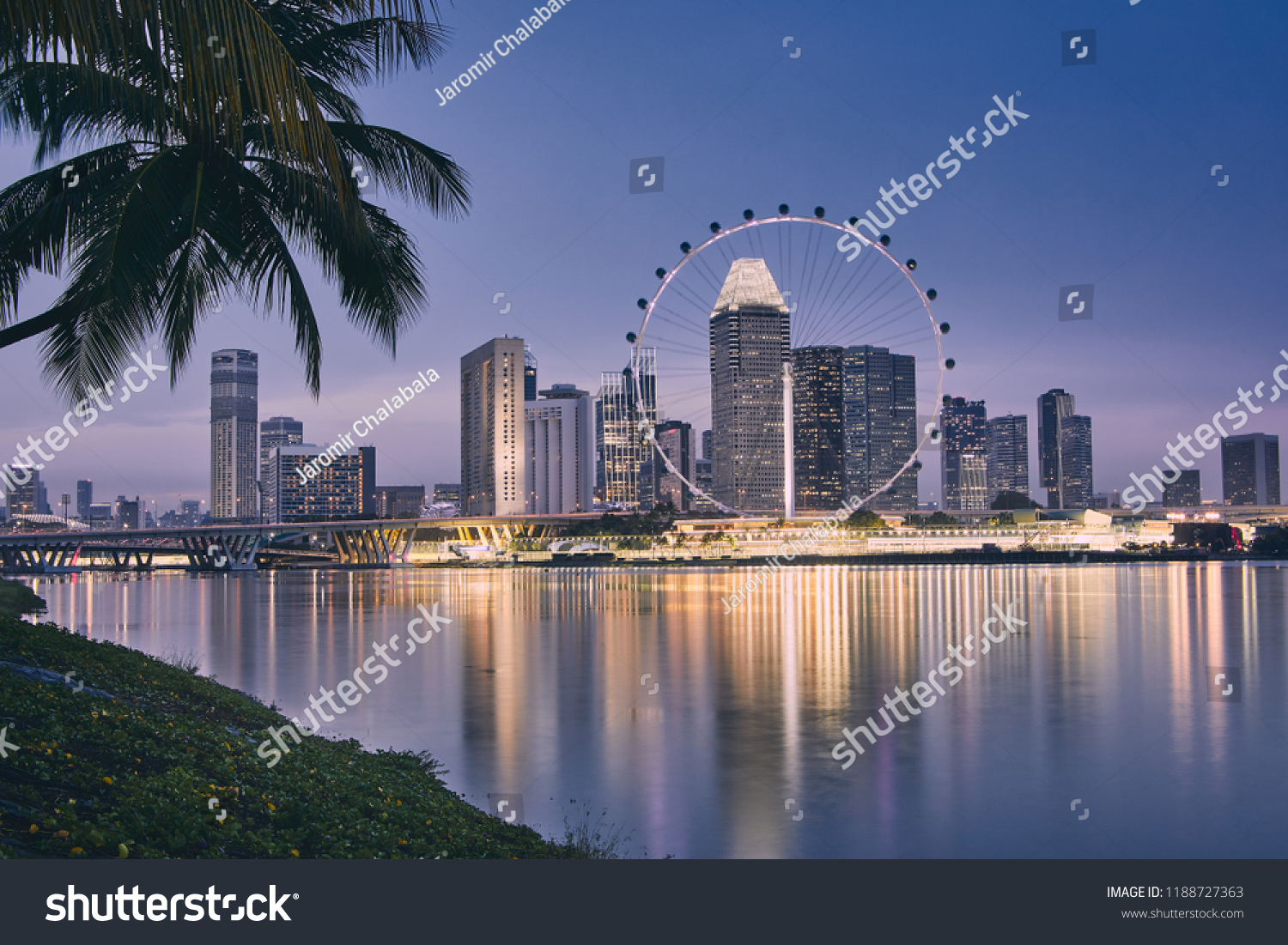 Lights of modern asian city. Palm tree against Singapore skyline at dusk.  #1188727363