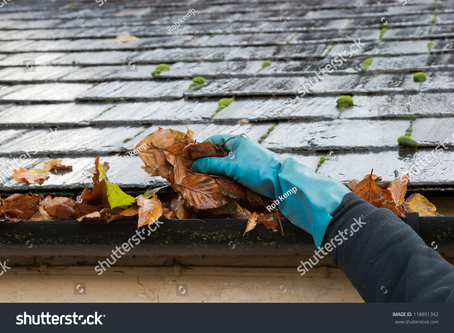 Clearing autumn gutter blocked with leaves by hand #118891342