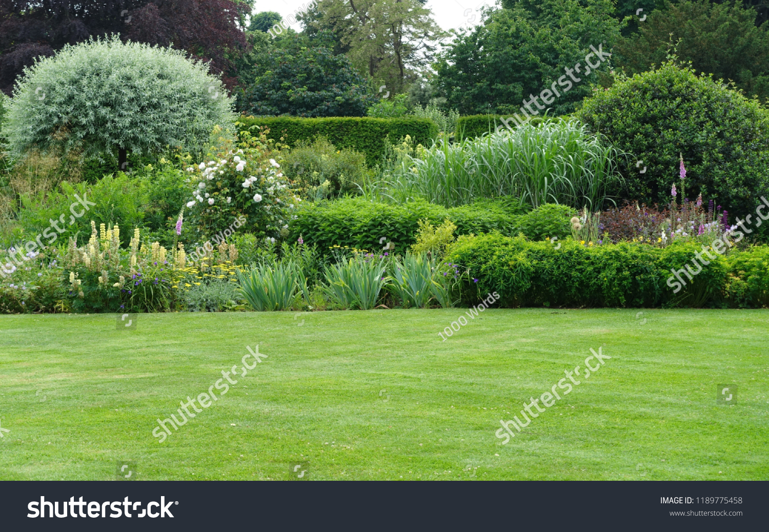 Scenic View of a Beautiful English Style Landscape Garden with a Green Mowed Lawn and Colourful Flower Bed #1189775458