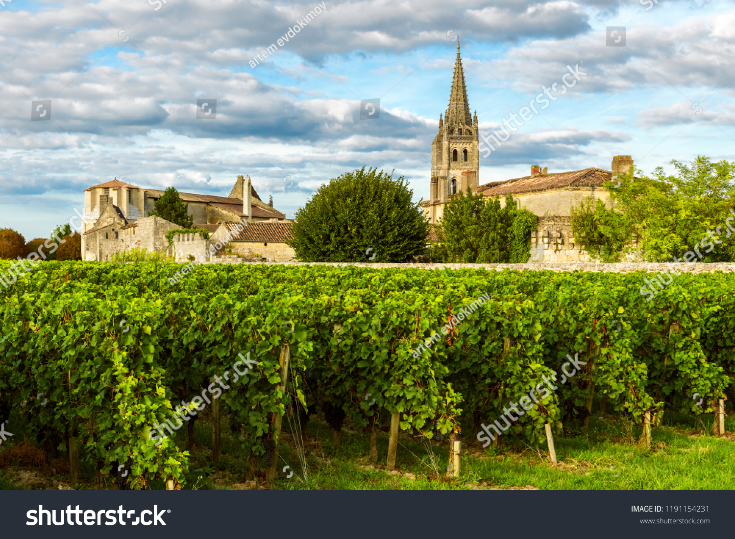 Sunny landscape of bordeaux wineyards in Saint Emilion in Aquitaine region, France on sunny day #1191154231