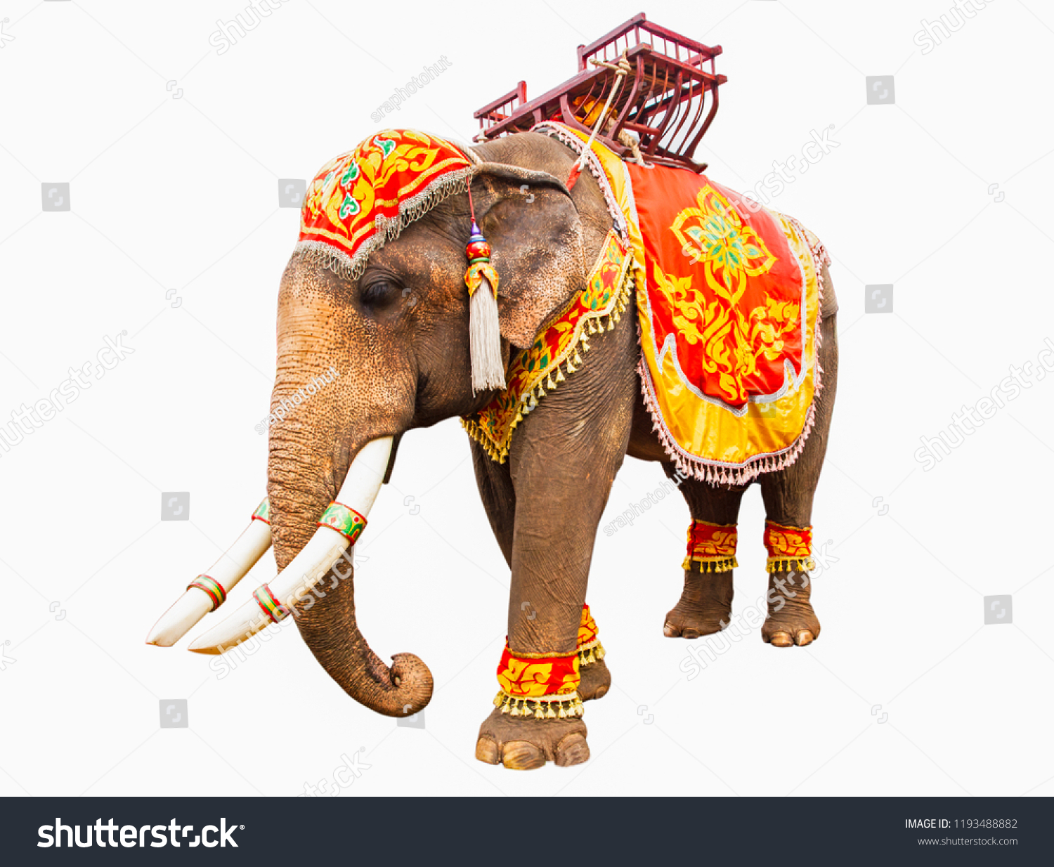 Elephant has beautiful and large isolated on white background. colorful painted elephant head ,Decorated elephants in Thailand. #1193488882