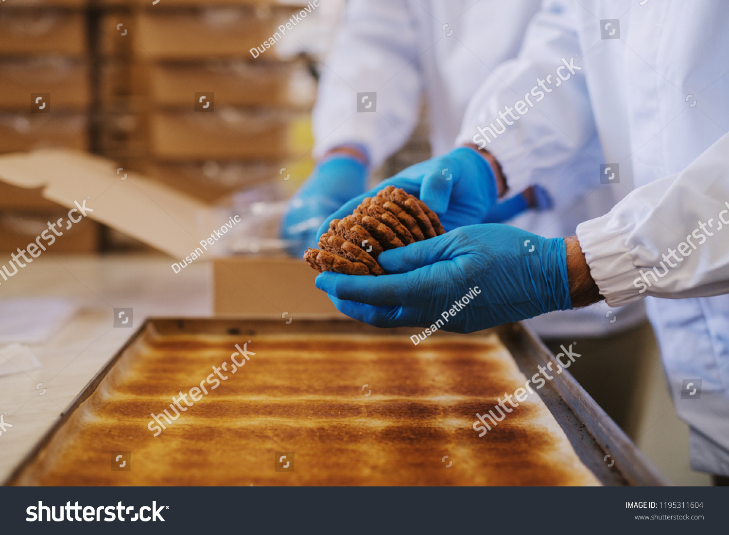Close up of tray full of fresh baked cookies in food factory. Blurred picture of two male employees in sterile clothes packing cookies in background. #1195311604