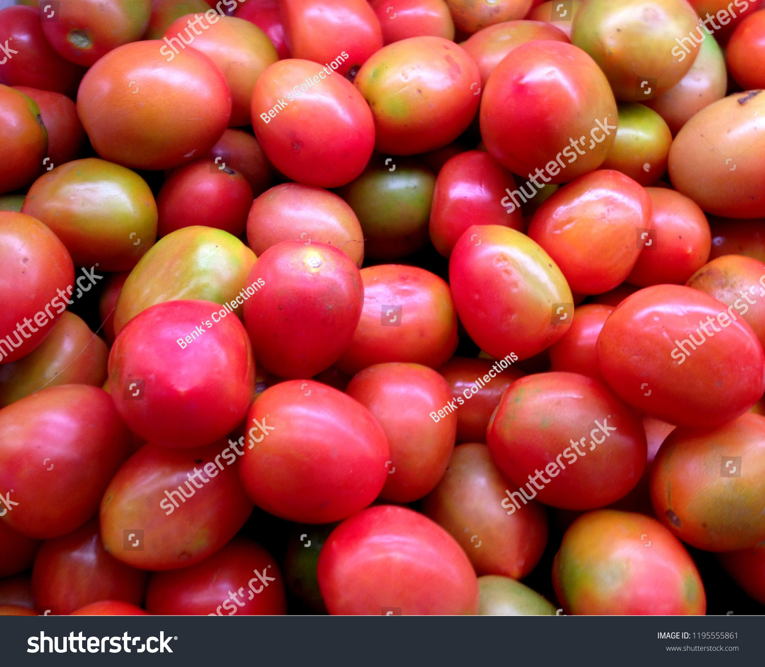 Fresh Look of Tomatos #1195555861