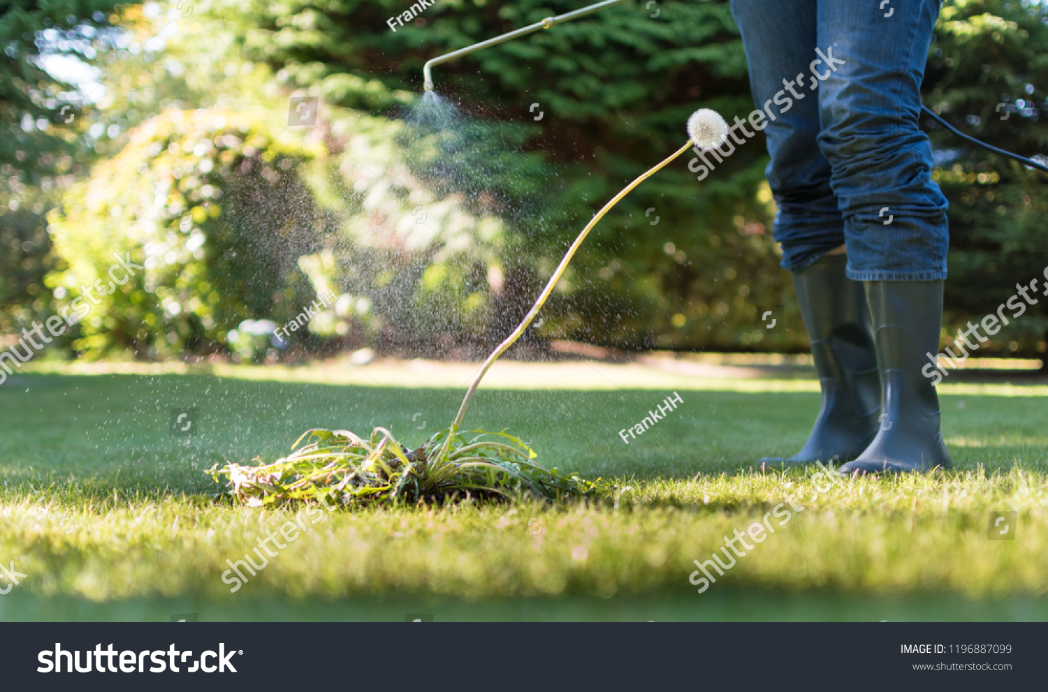 Spraying weeds in the garden #1196887099