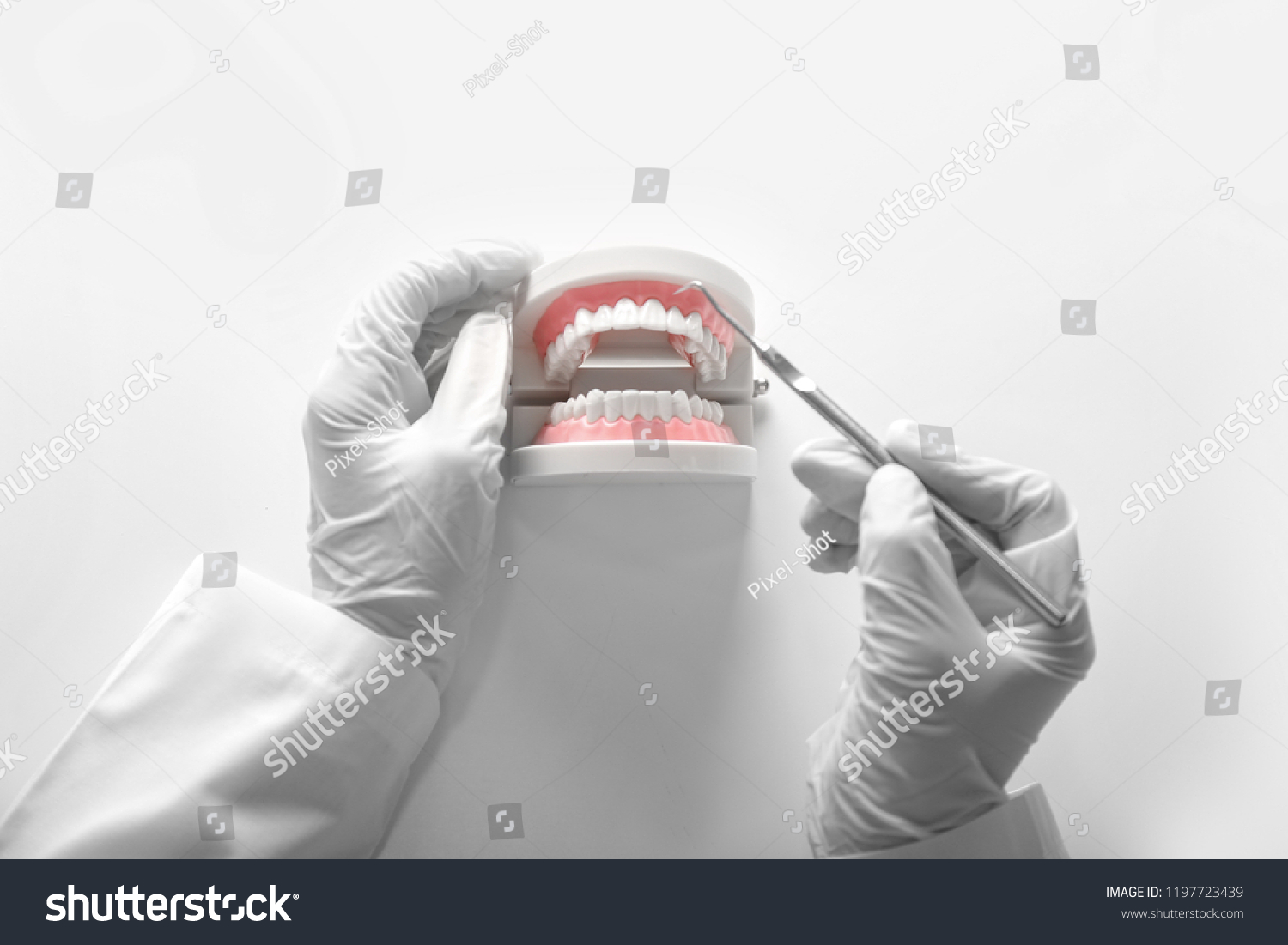 Dentist with artificial jaw and dental tool on white background #1197723439