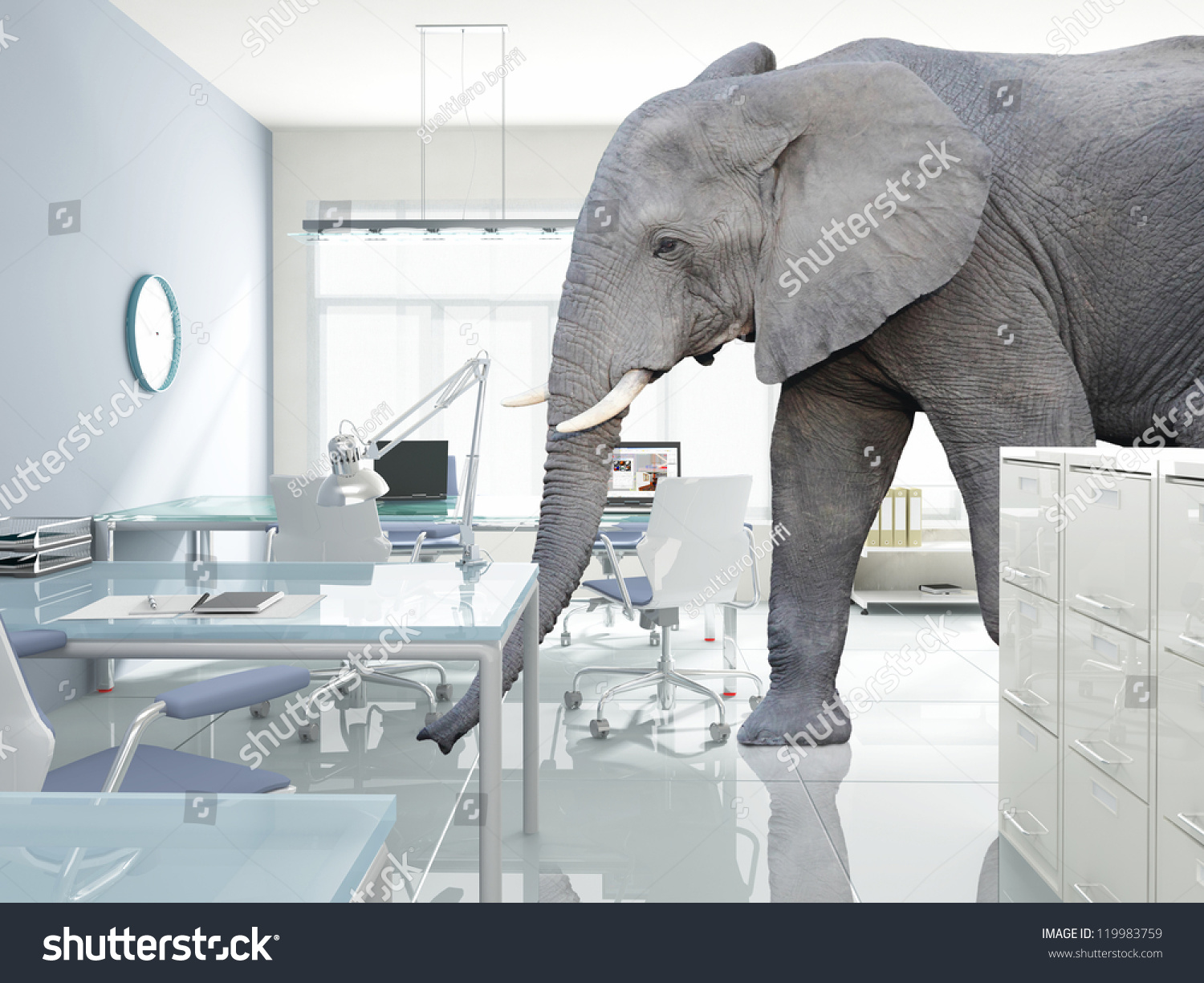 huge elephant walk in modern office #119983759
