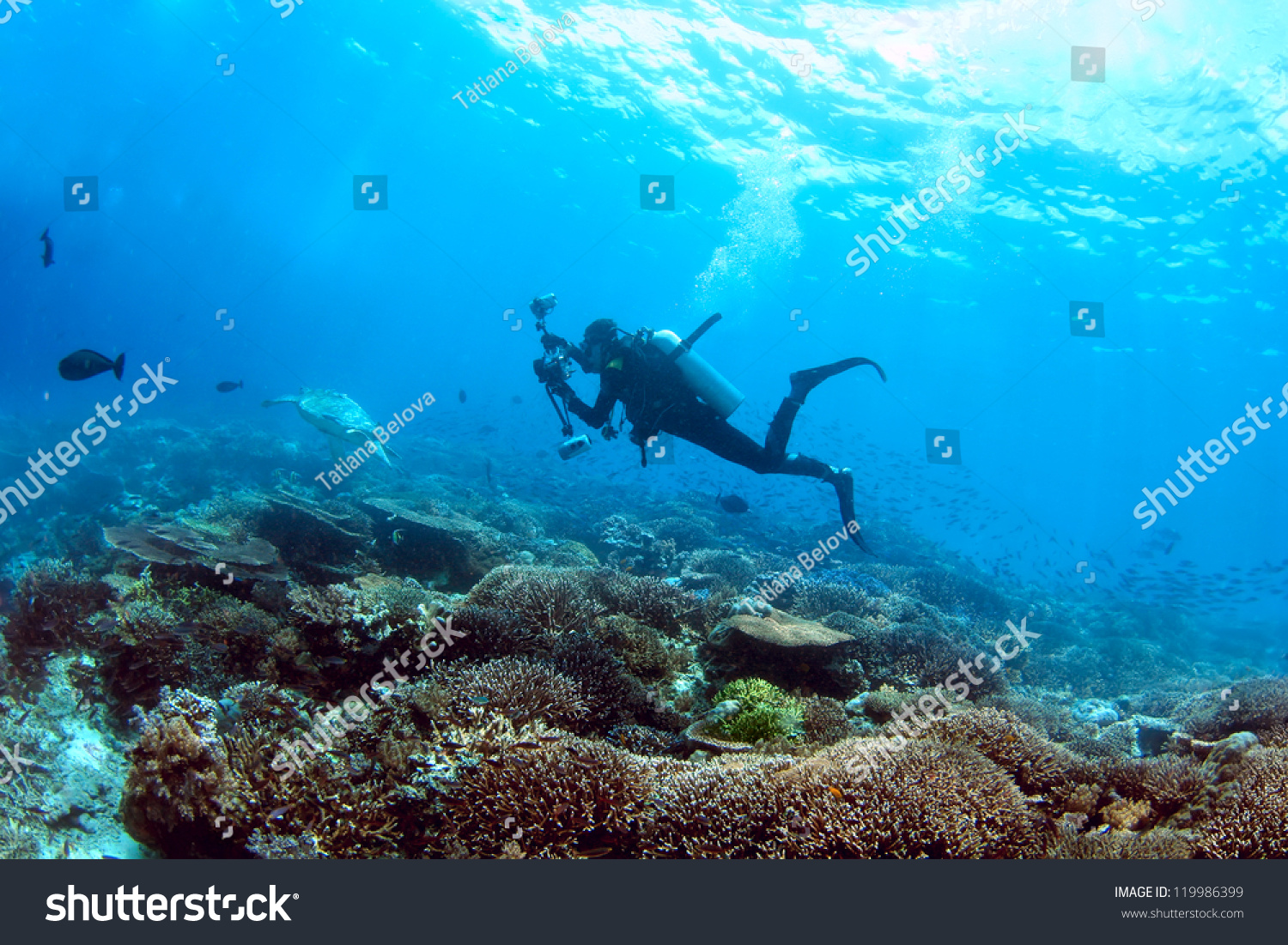 Underwater cameraman enjoys a scuba dive on a coral reef #119986399