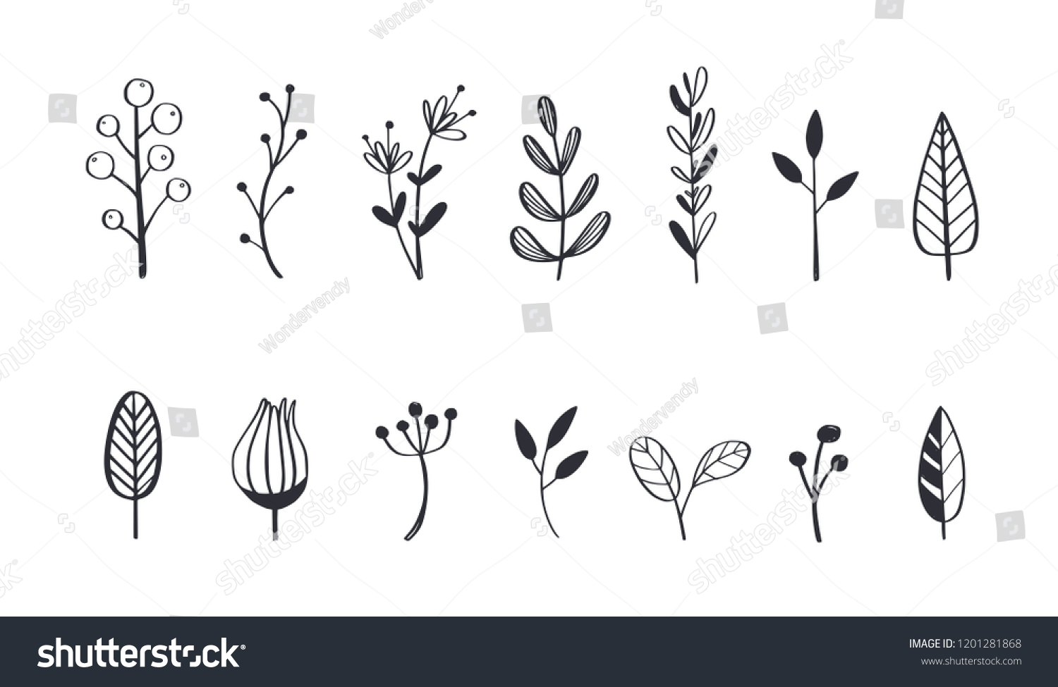Herbal tea and floral doodle set. Vector hand drawn botanical illustration. Isolated objects on white #1201281868