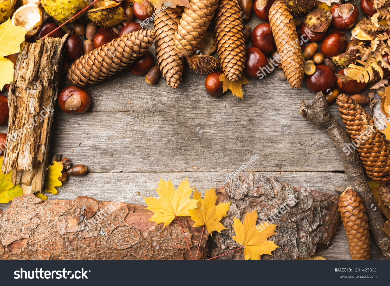Autumn arrangement, concept still life with chestnuts, cones, acorns, leaves, bark on wooden background. Seasonal frame from autumn harvest. Flat-lay visualization with copy space. Table top view. #1201427005