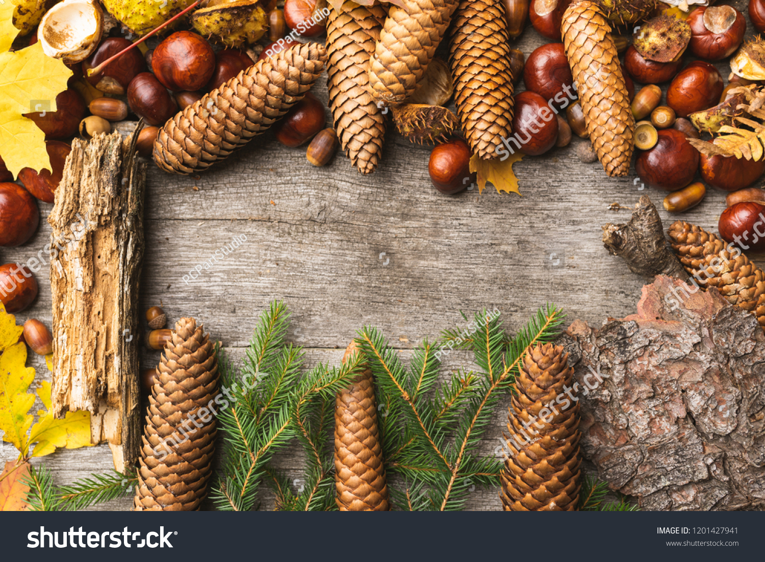 Autumn arrangement, concept still life with chestnuts, cones, acorns, leaves, bark, fir, pine tree on wooden background. Seasonal frame from autumn harvest. Flat-lay visualization with copy space #1201427941