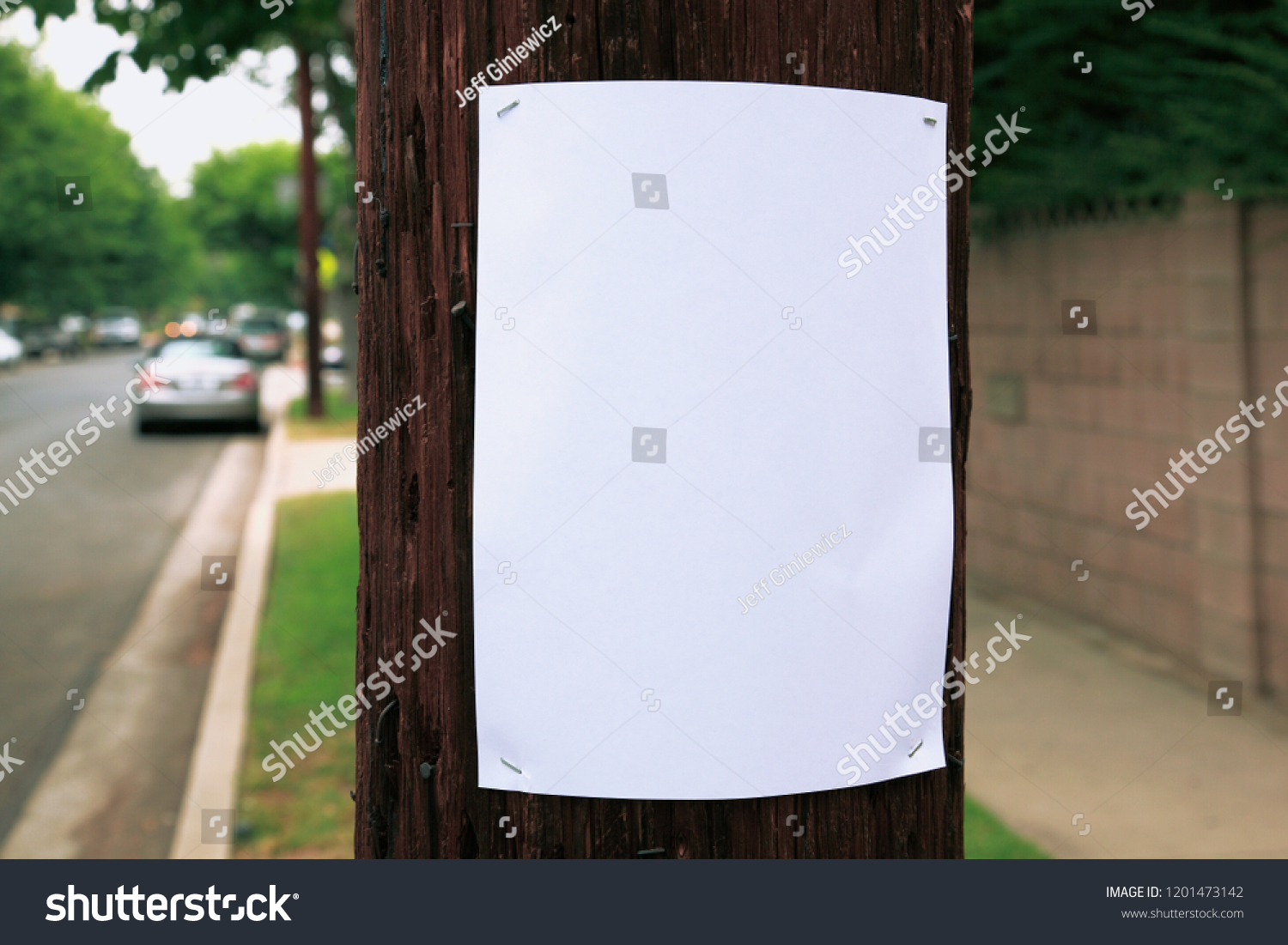 Blank sign stapled to a telephone pole #1201473142