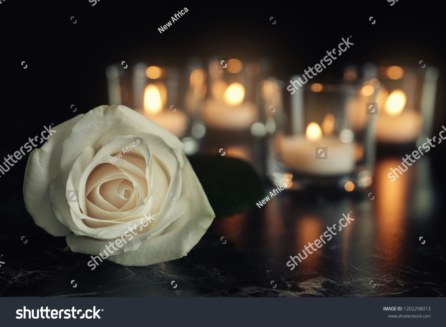 White rose and blurred burning candles on table in darkness, space for text. Funeral symbol #1202298013