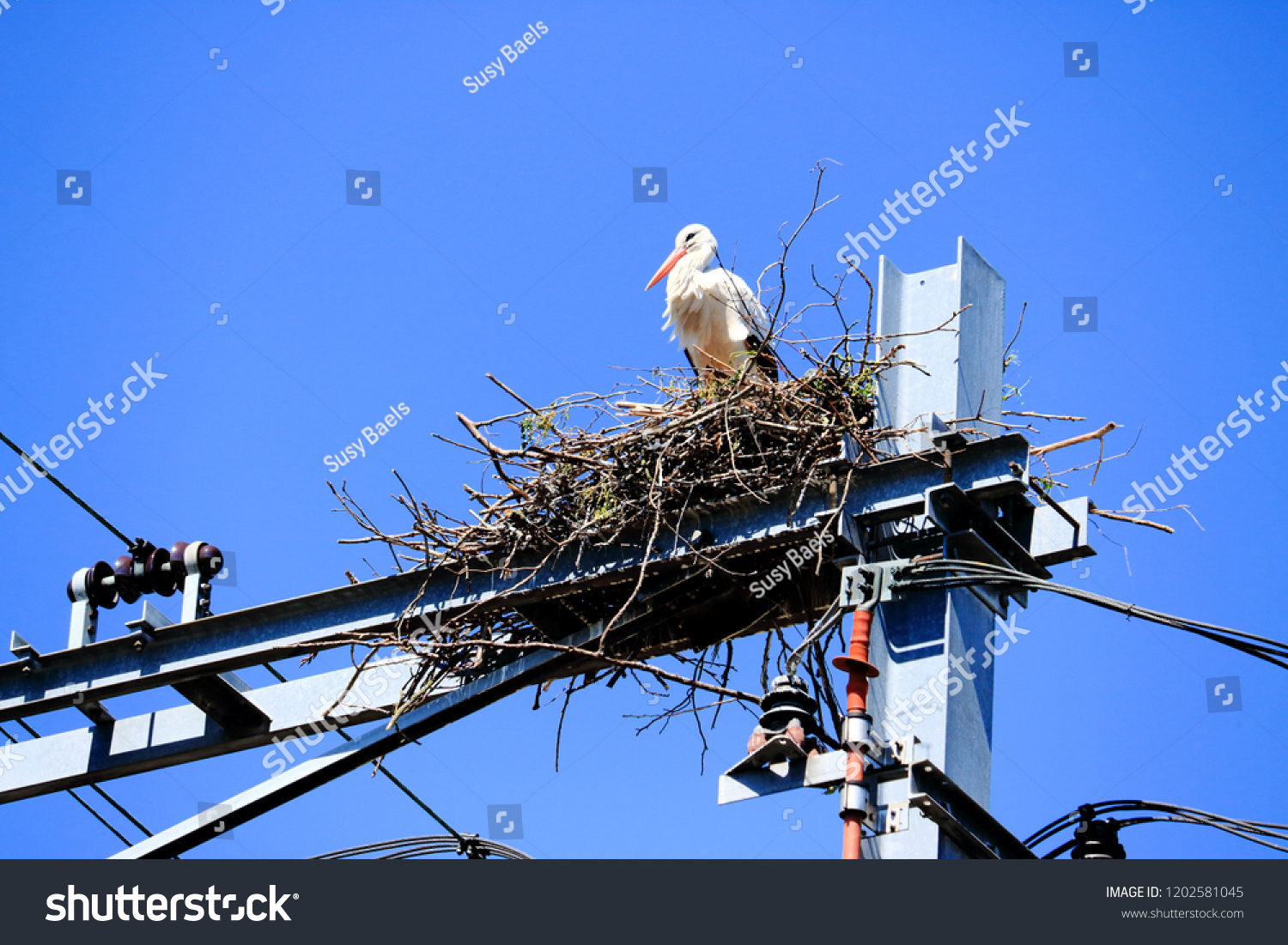 stork nest on a railway construction #1202581045