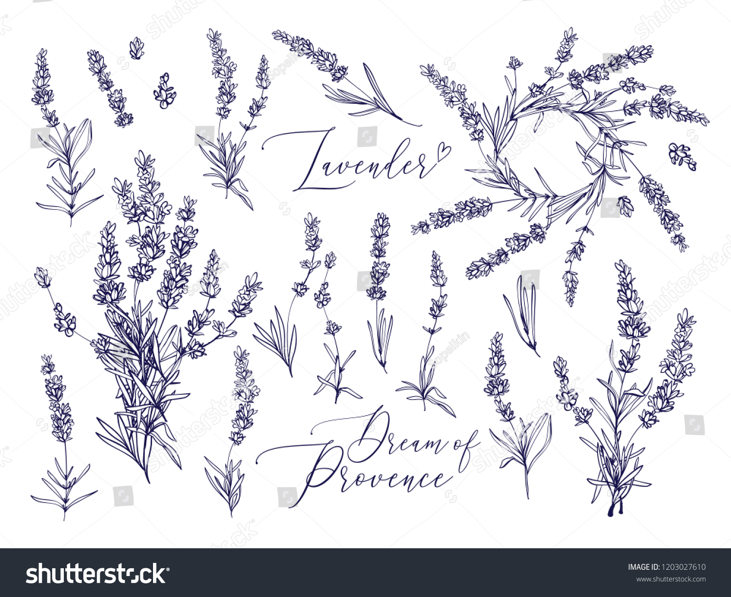 Black line lavender. Vector hand drawn tea herb Illustration set. Vintage retro sketch element for labels, packaging, textile and cards design. #1203027610