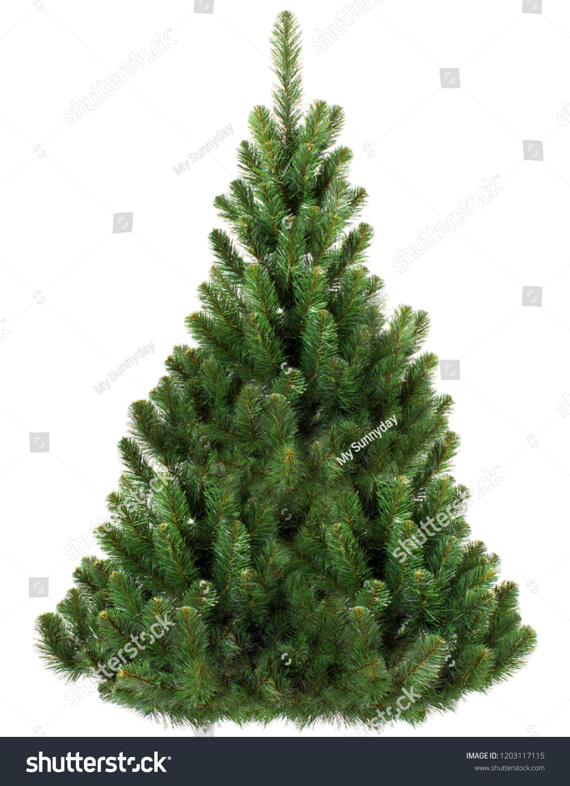 Green Pine, christmas tree isolated on white closeup #1203117115