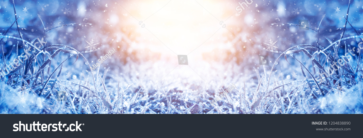 Winter frosty morning. Winter snow background, blue color, snowflakes, sunlight, macro. Frozen grass under the snow, snowflakes and sunlight, rays. #1204838890
