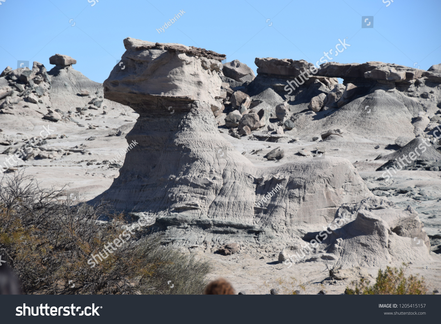 Geological formation in the Ischigualasto nature park in the form of a sphynx #1205415157