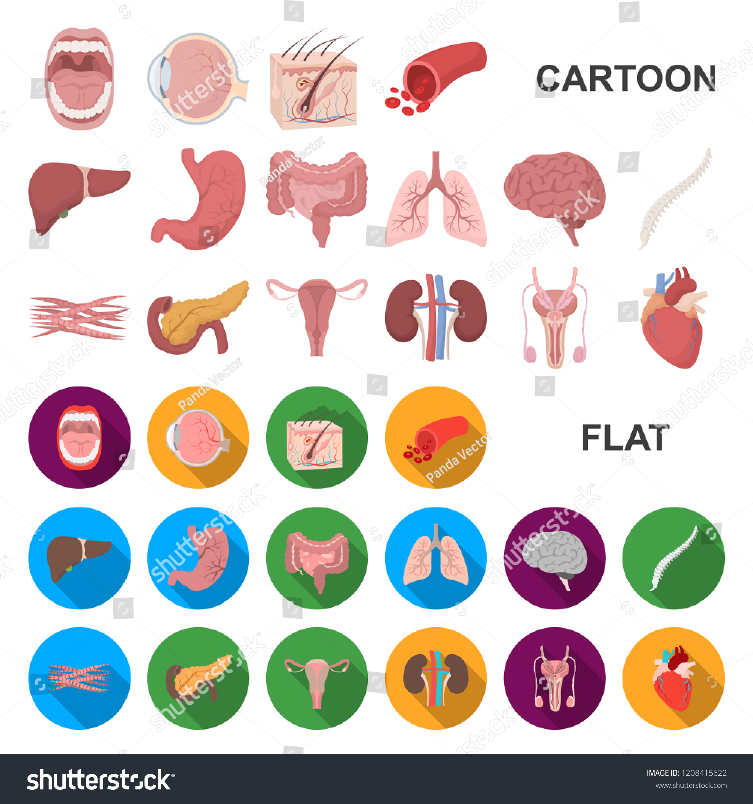 Internal organs of a human cartoon icons in set - Royalty Free Stock ...