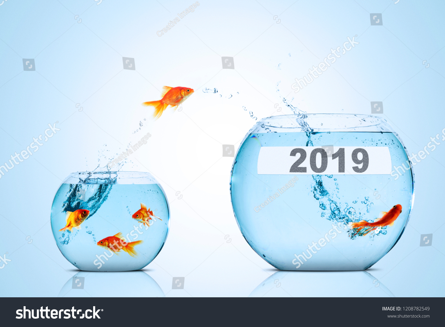 Image of golden fish leaping to larger aquarium with numbers 2019 #1208782549