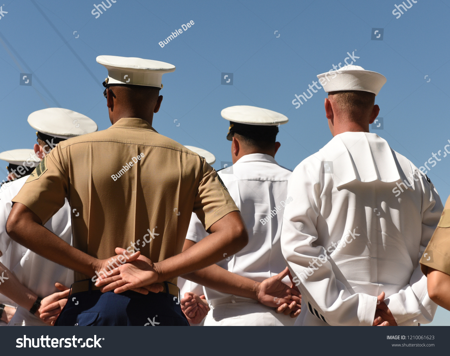 US Navy sailors from the back. US Navy army. #1210061623