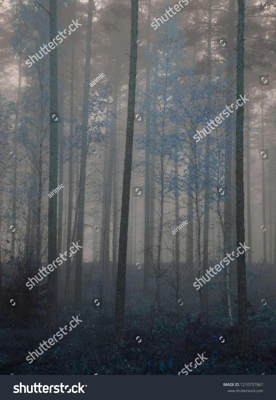 blue forrest in fantasy style concept #1210737967