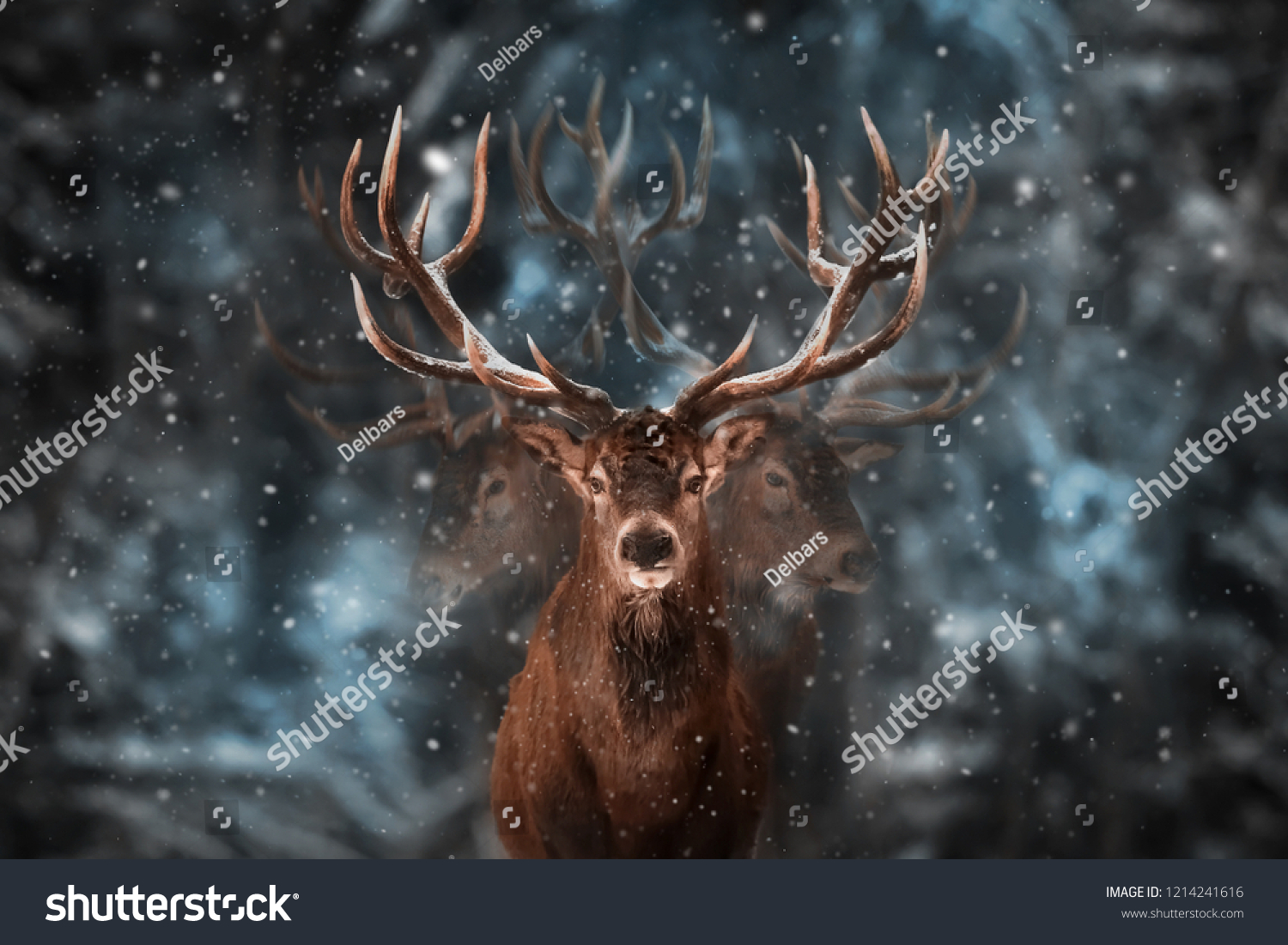 Noble deer male in winter snow forest. Multi exposure #1214241616