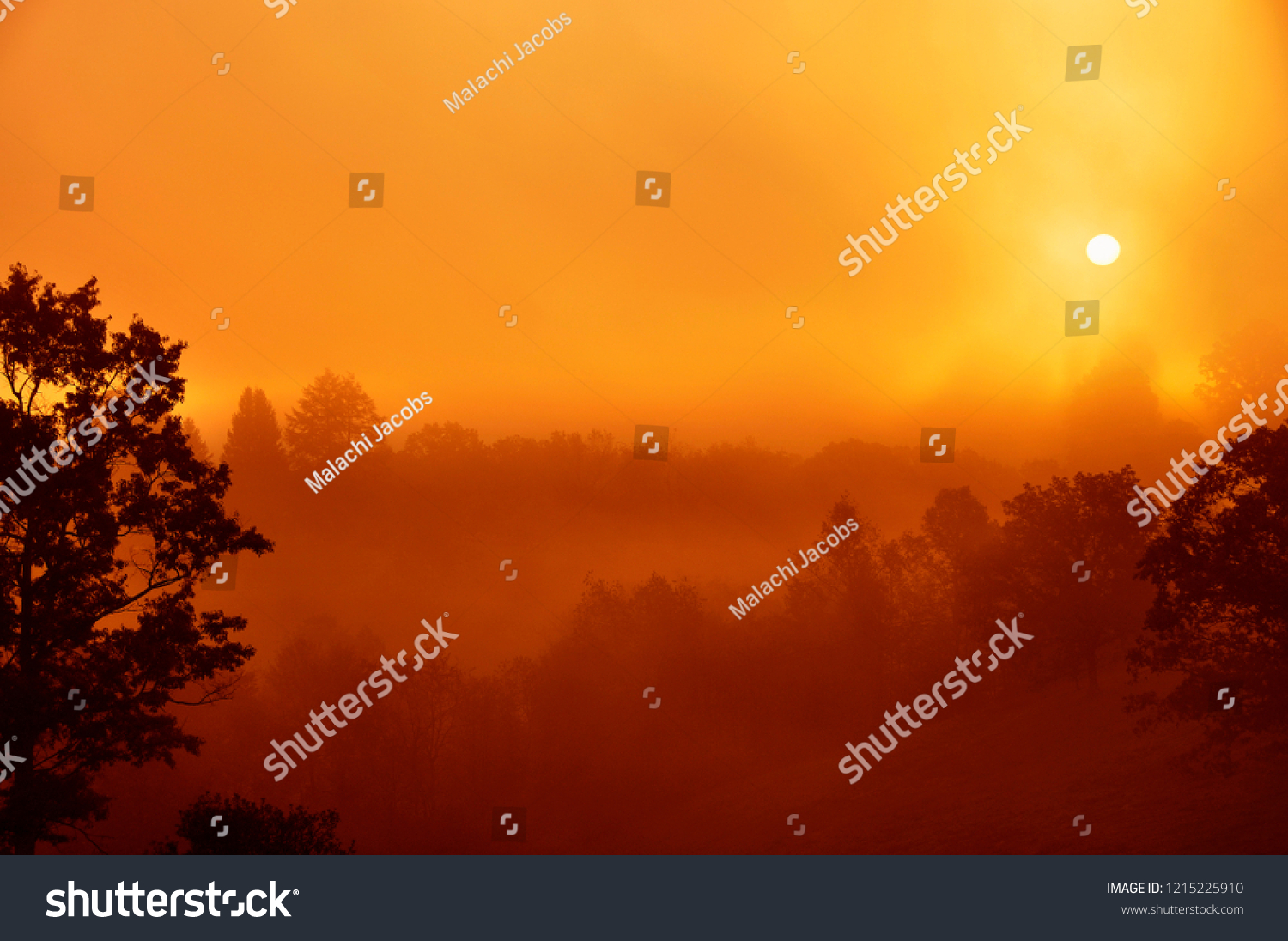 Misty Mountain Sunrise, Webster County, West Virginia, USA #1215225910