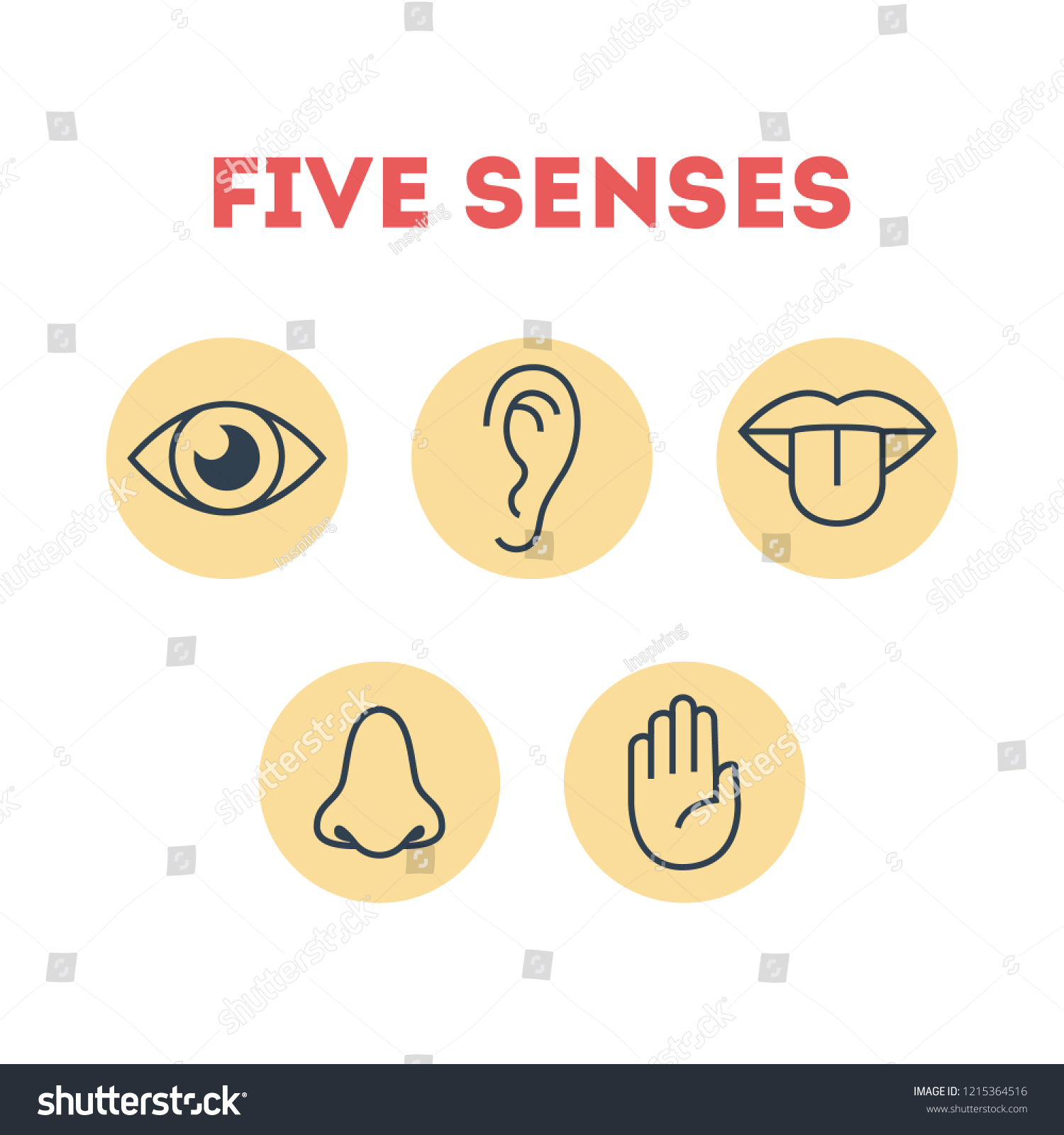 Five types of human sense. Vision through eye, - Royalty Free Stock ...