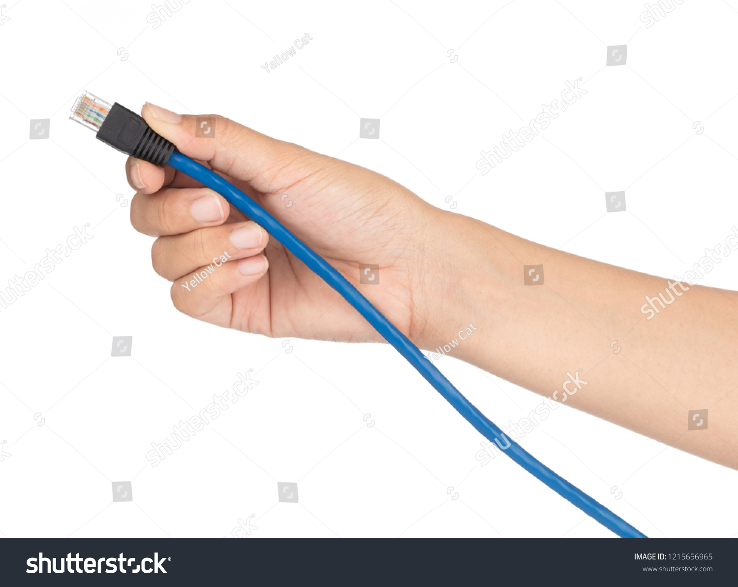Hand holding Blue Cable Network CAT6 Flat 2m RJ45 Lan Internet isolated on white Background #1215656965