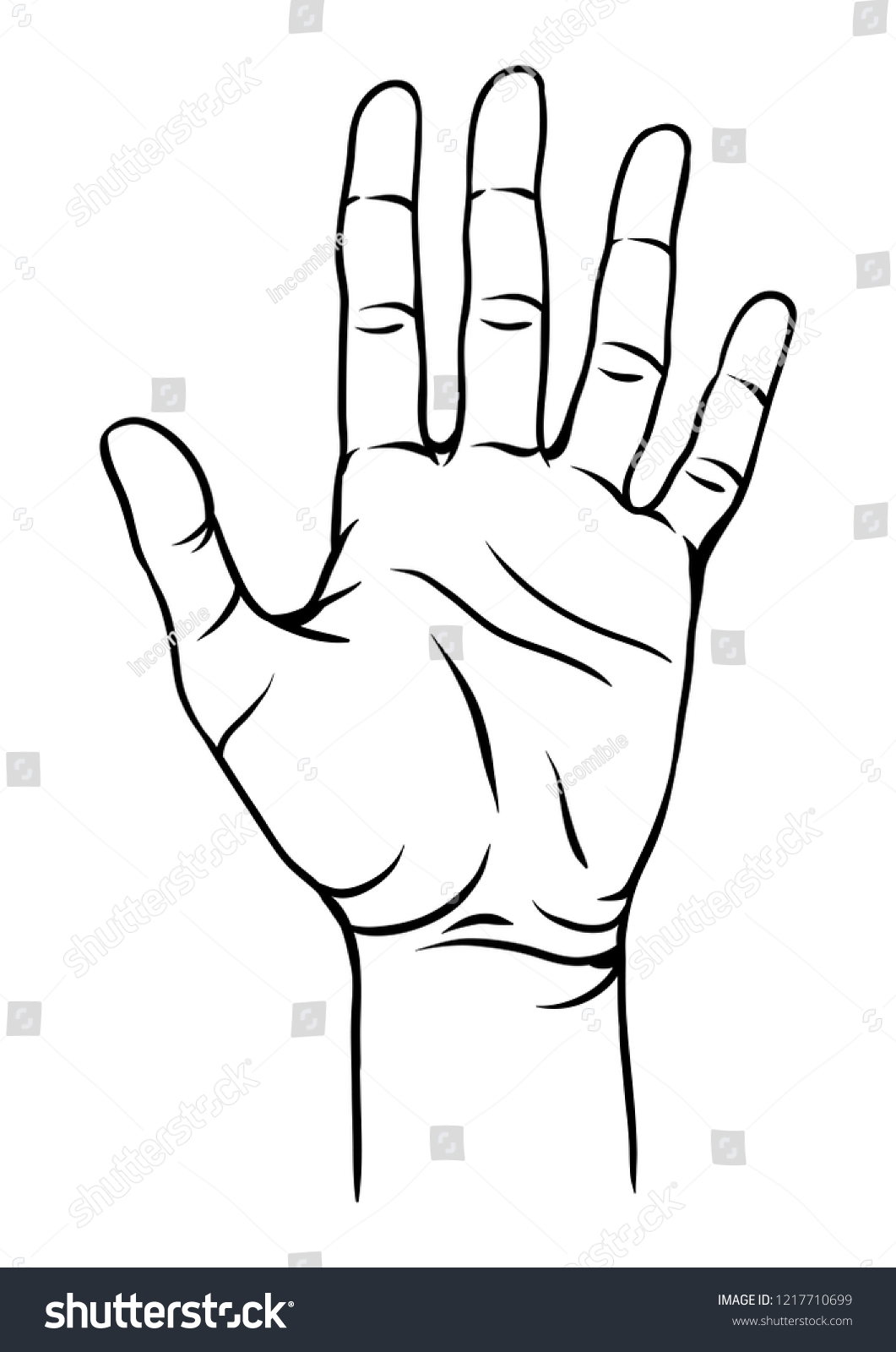 Illustration of human hand. Female palm gesture. - Royalty Free Stock ...