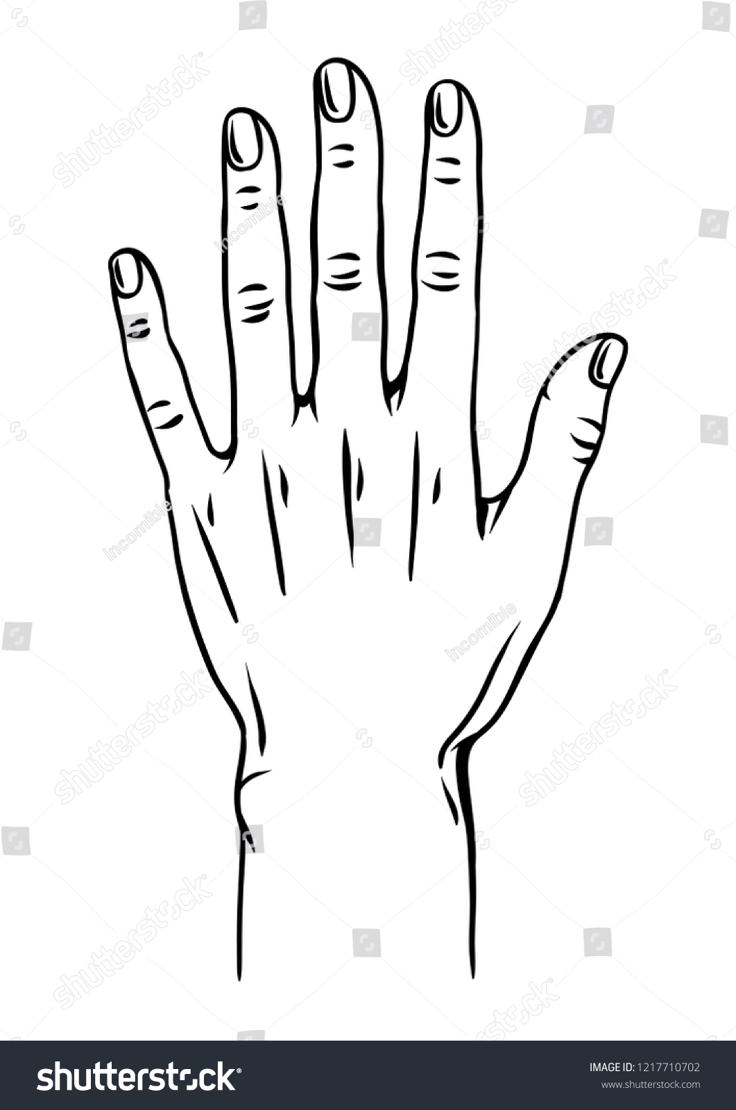 Illustration of human hand. Female palm gesture. - Royalty Free Stock ...