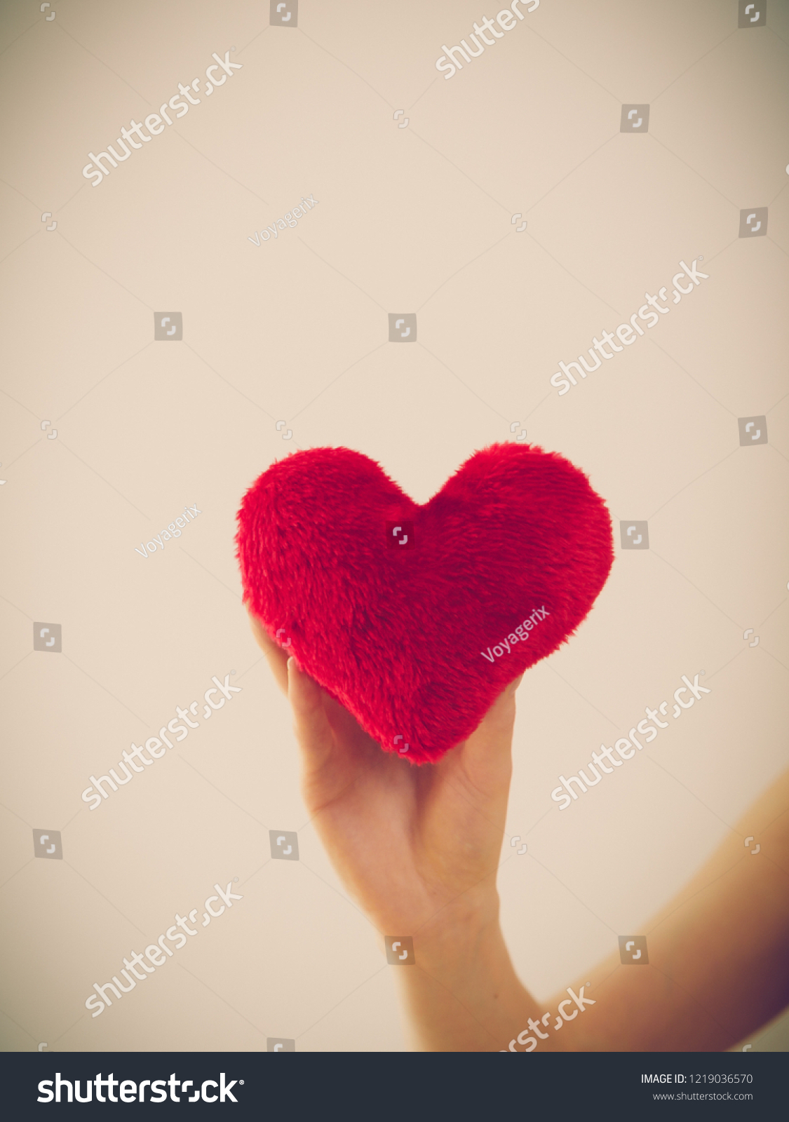 Woman hand holding small red heart shaped heart. Cardiology and healthcare concept. Valentines day gift. #1219036570