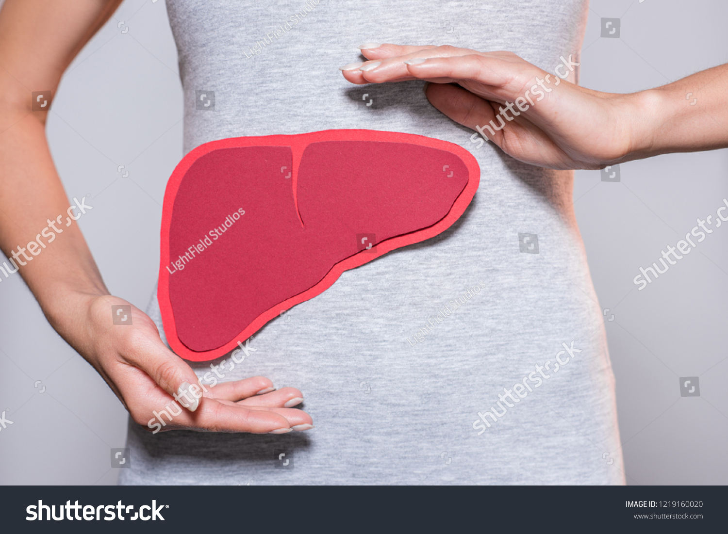 partial view of woman with paper made human liver on grey background #1219160020