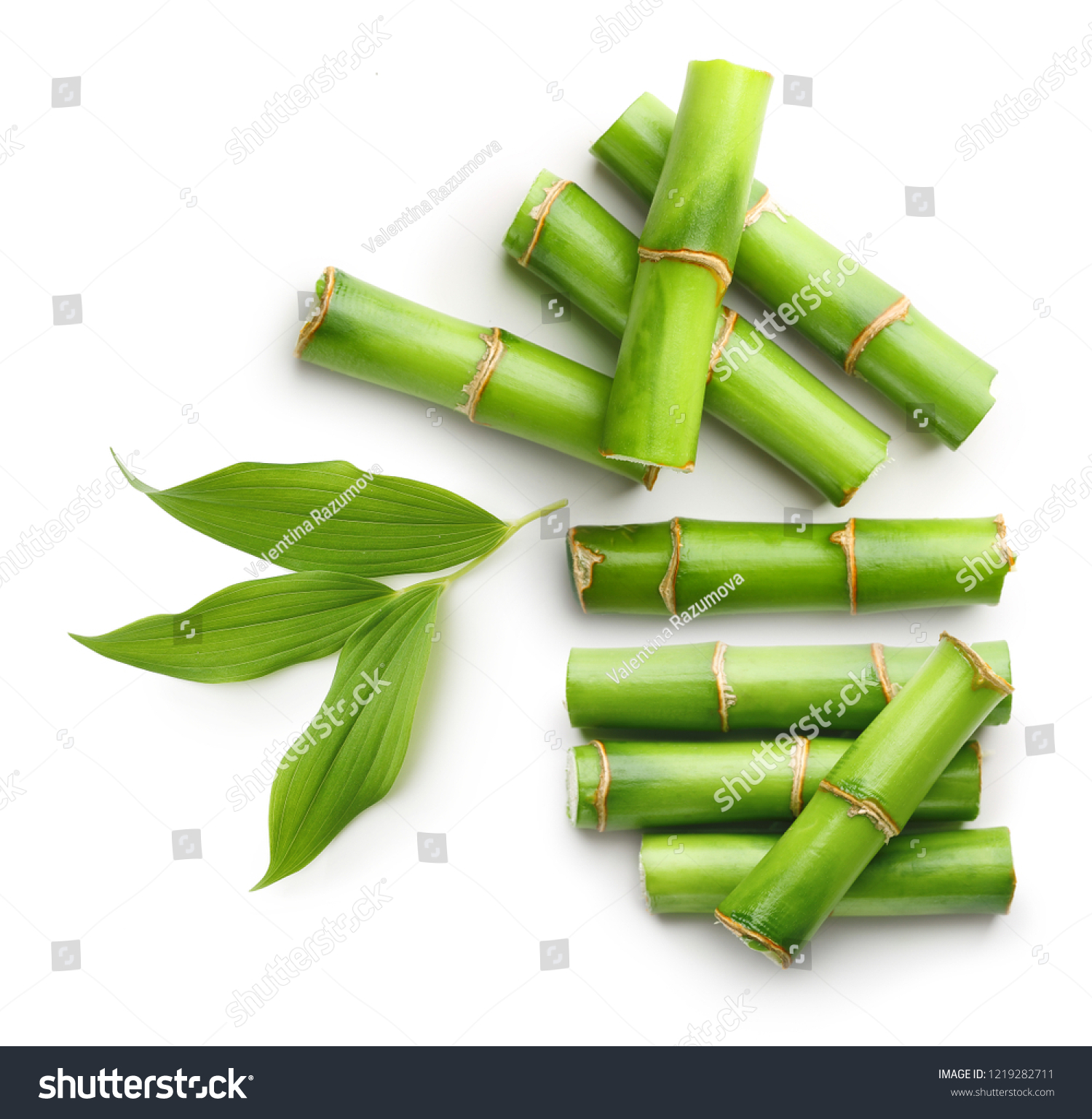 Branches of bamboo isolated on white background #1219282711