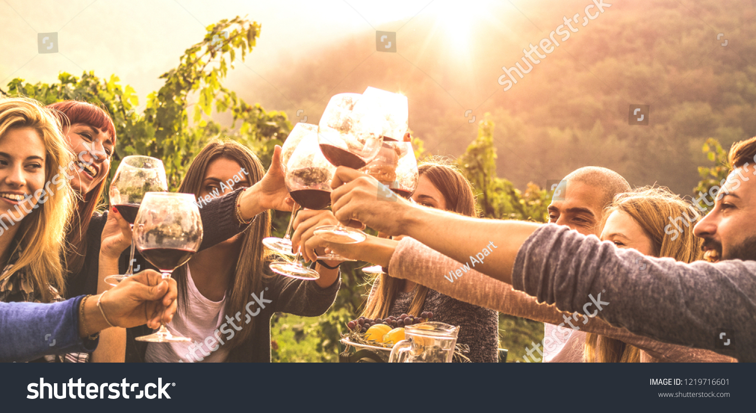 Young friends having fun outdoor - Happy people enjoying harvest time together at farm house winery countryside - Youth friendship concept - Hand toasting red wine at pic nic in vineyard before sunset #1219716601