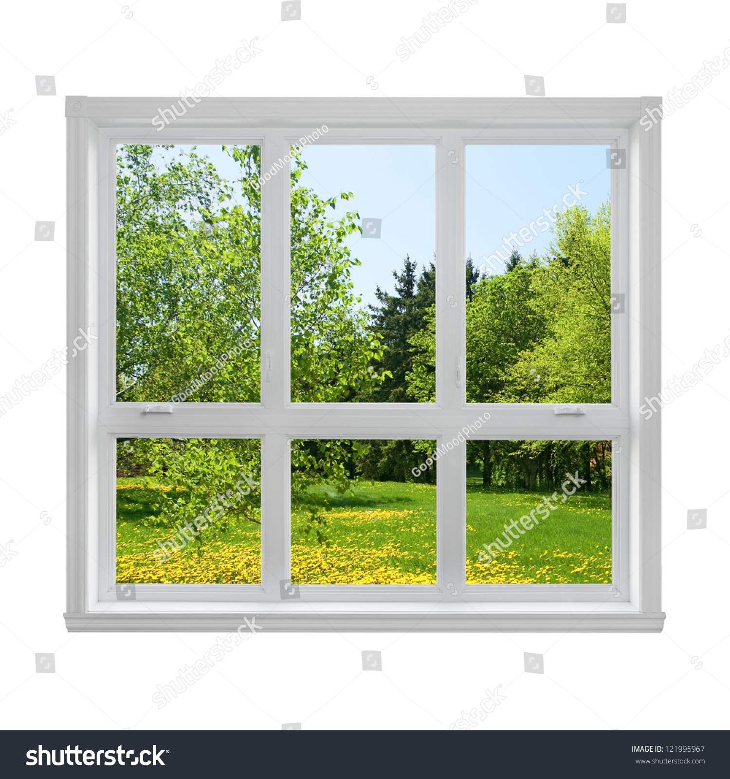 Spring dandelion lawn and green trees seen through the window. #121995967