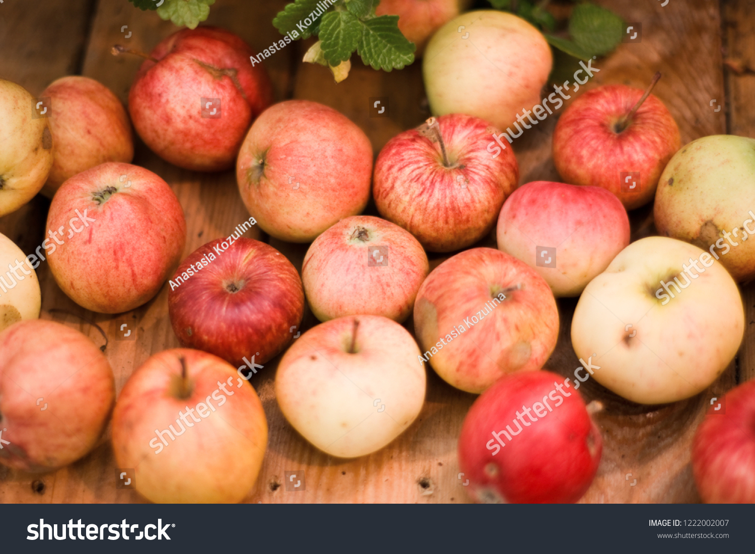Many red apples on a wooden table #1222002007