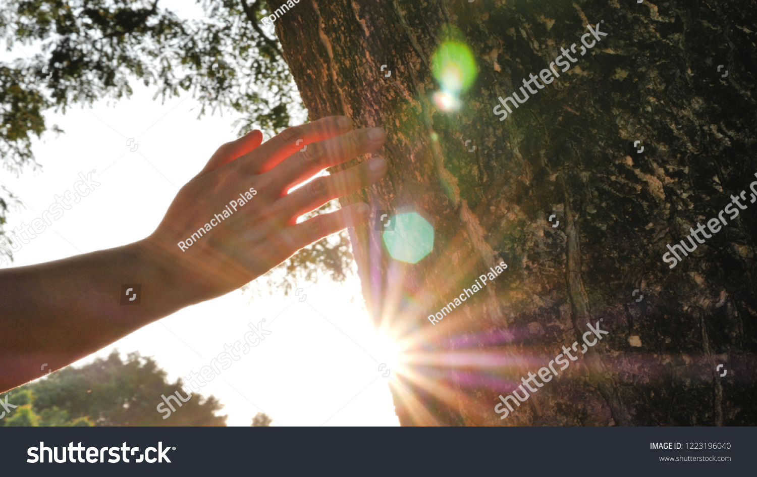 Closeup hand touching a tree trunk in the forest. Human is caring about nature and environment. #1223196040