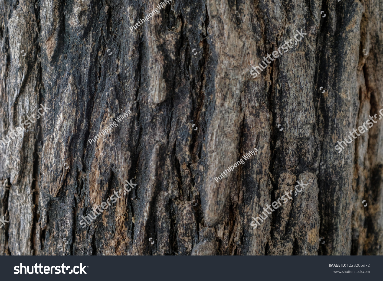 Dark brown old tree bark texture background #1223206972