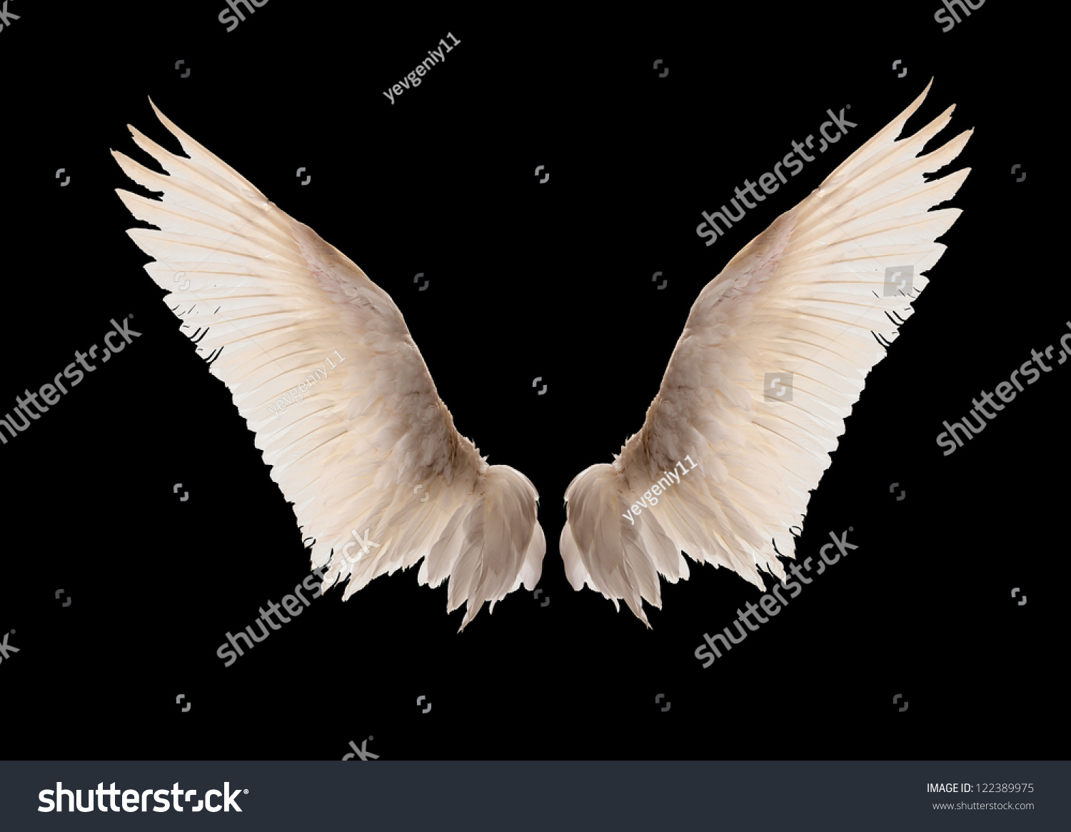Natural white goose wings. Isolation. #122389975