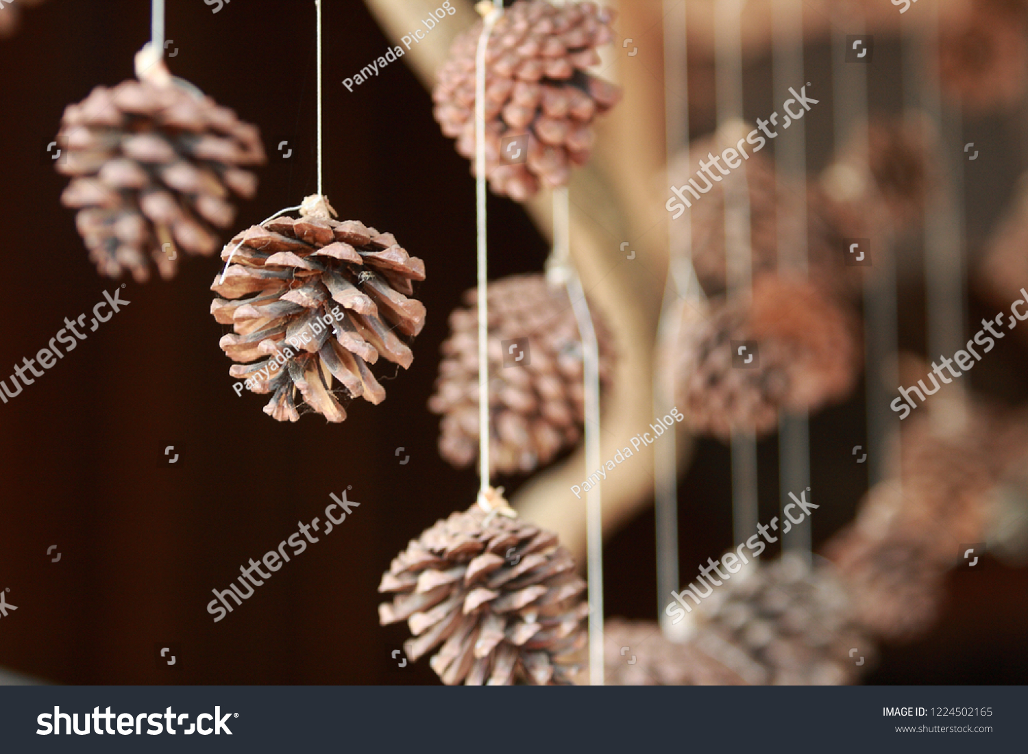 Pinecone for decorate house #1224502165