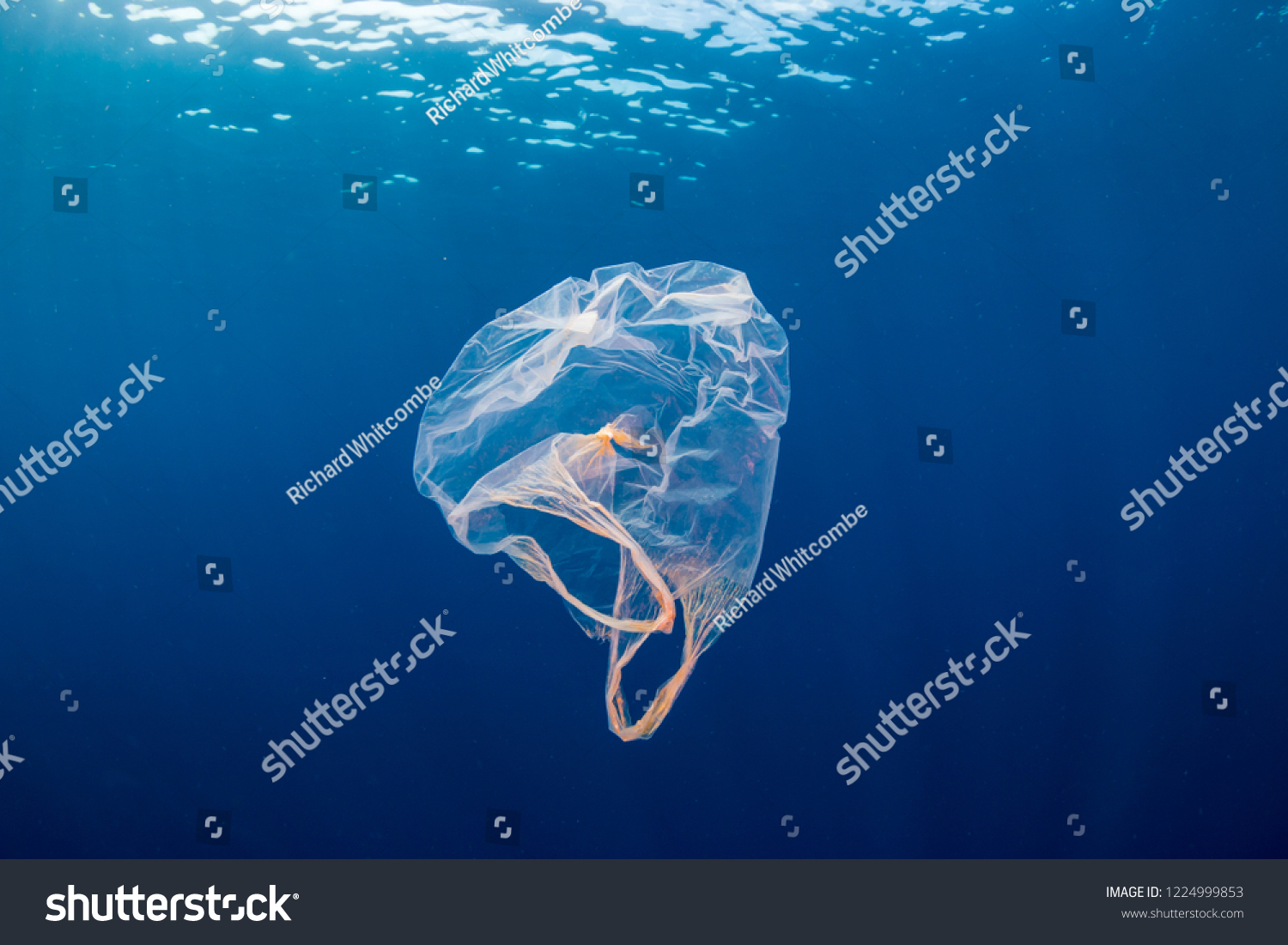 Underwater pollution:- A discarded plastic carrier bag drifting in a tropical, blue water ocean #1224999853