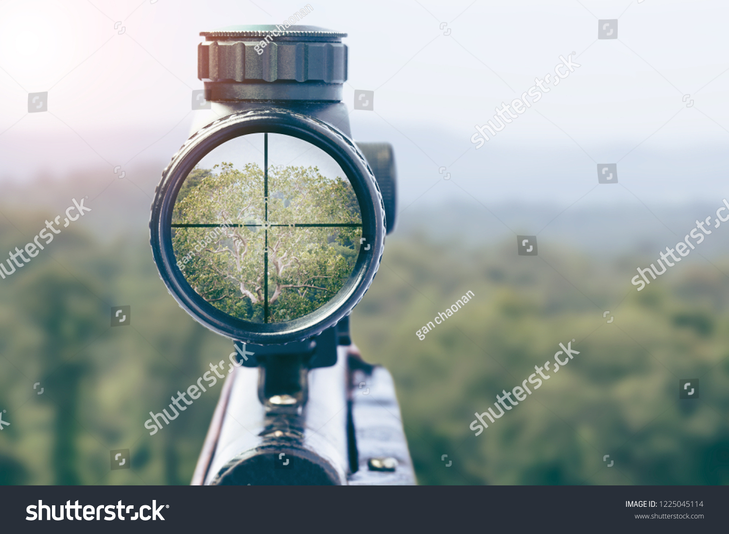 rifle target view on Natural Background. Image of a rifle scope sight used for aiming with a weapon #1225045114