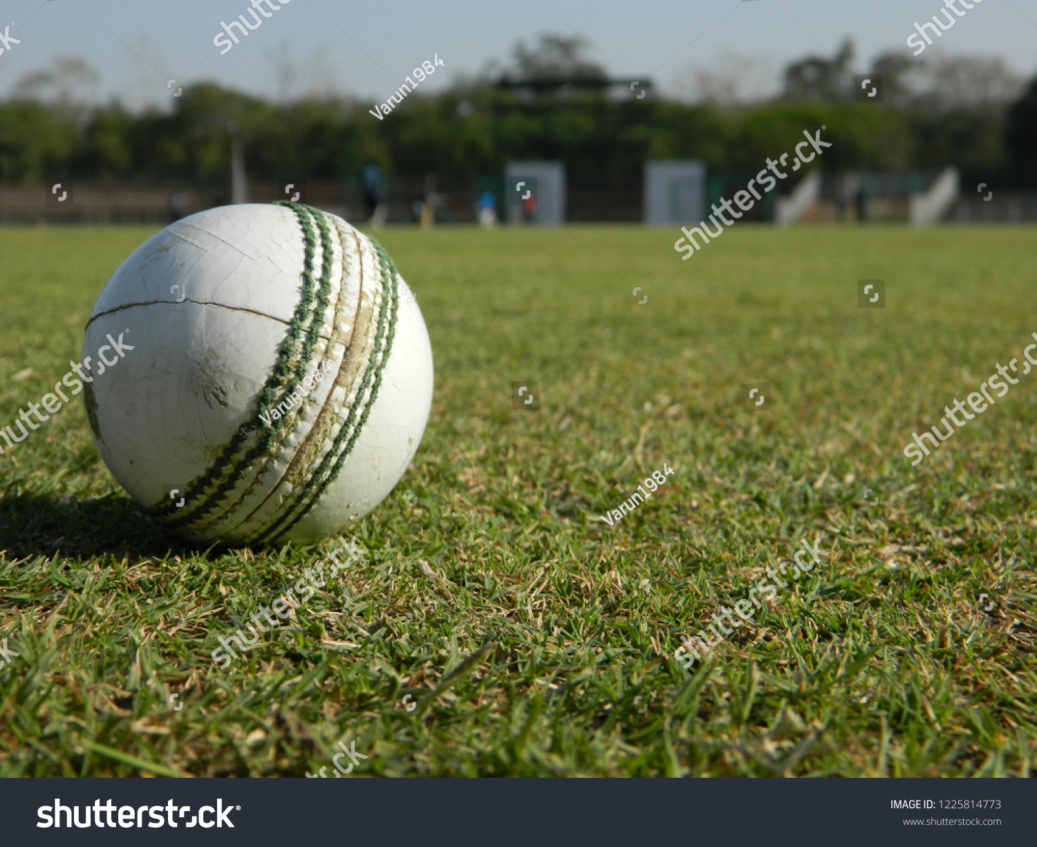 Cricket ground game #1225814773